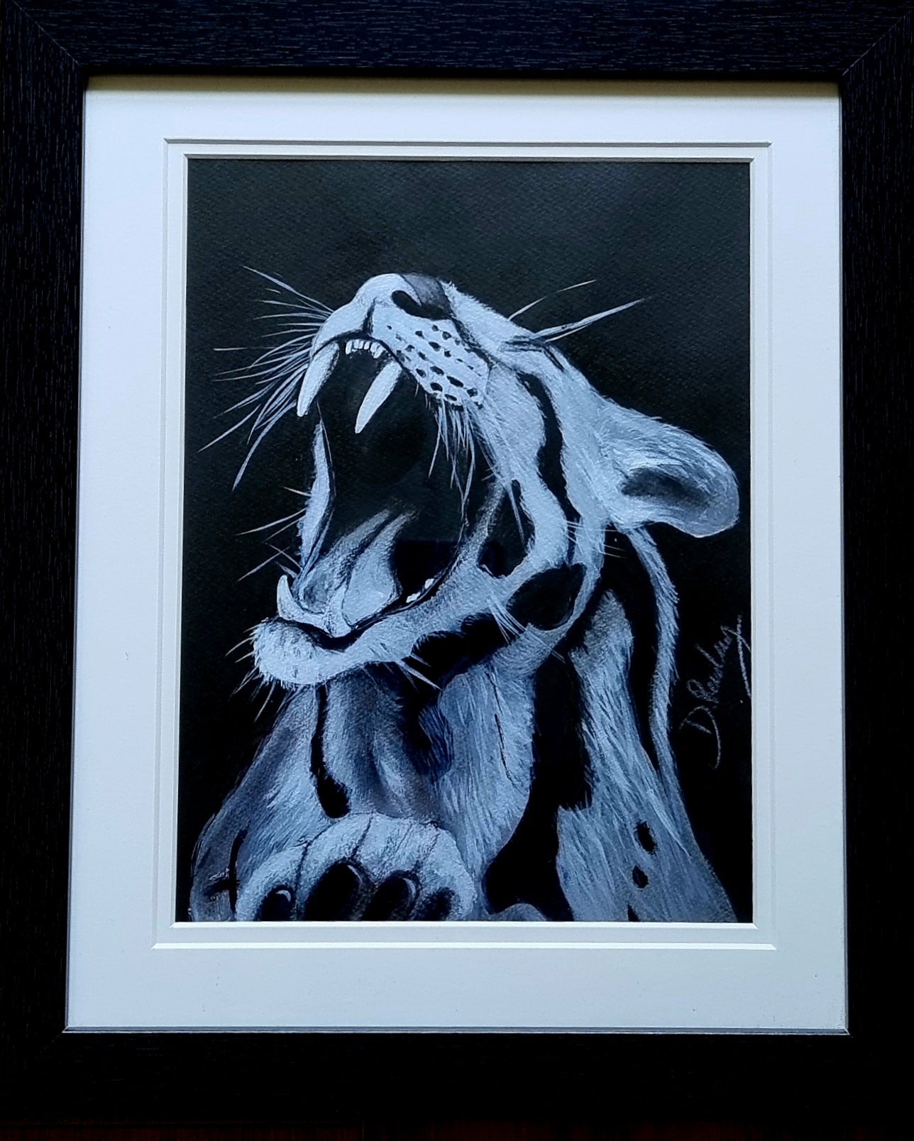 Leopard.
