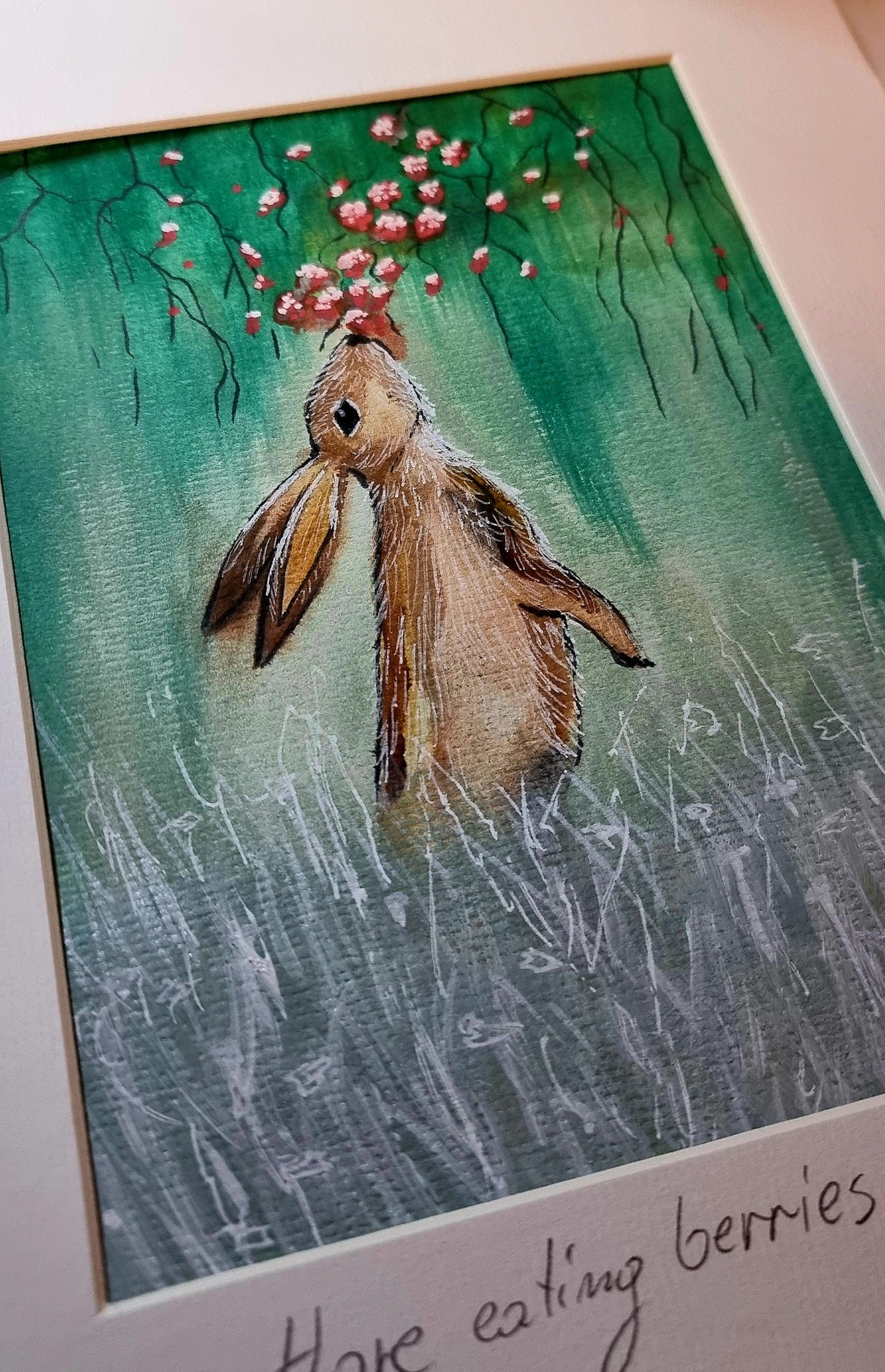 Hare eating berries.