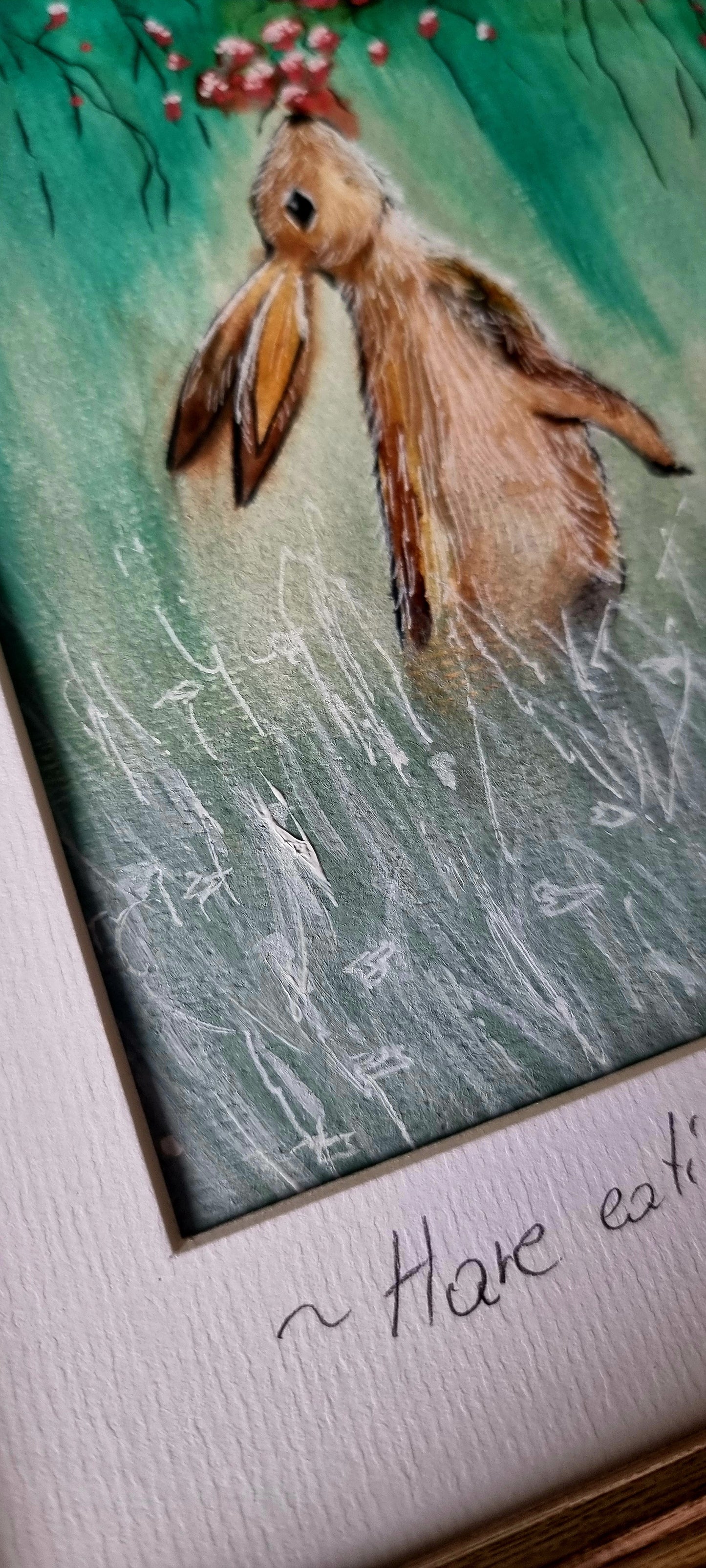 Hare eating berries.