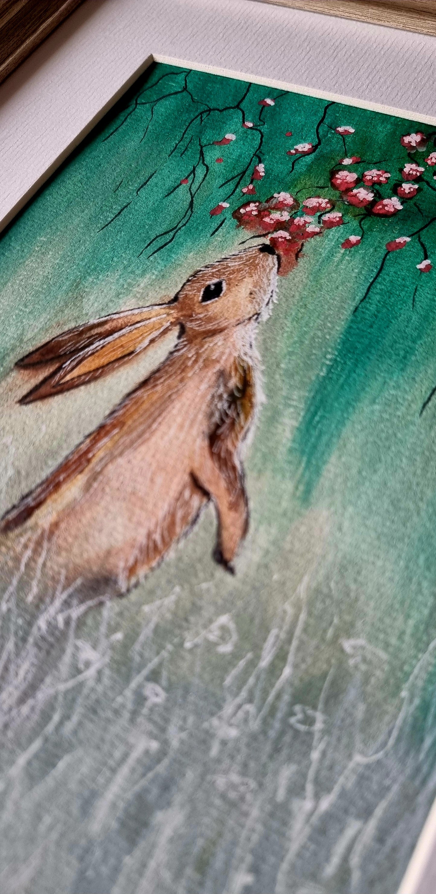 Hare eating berries.