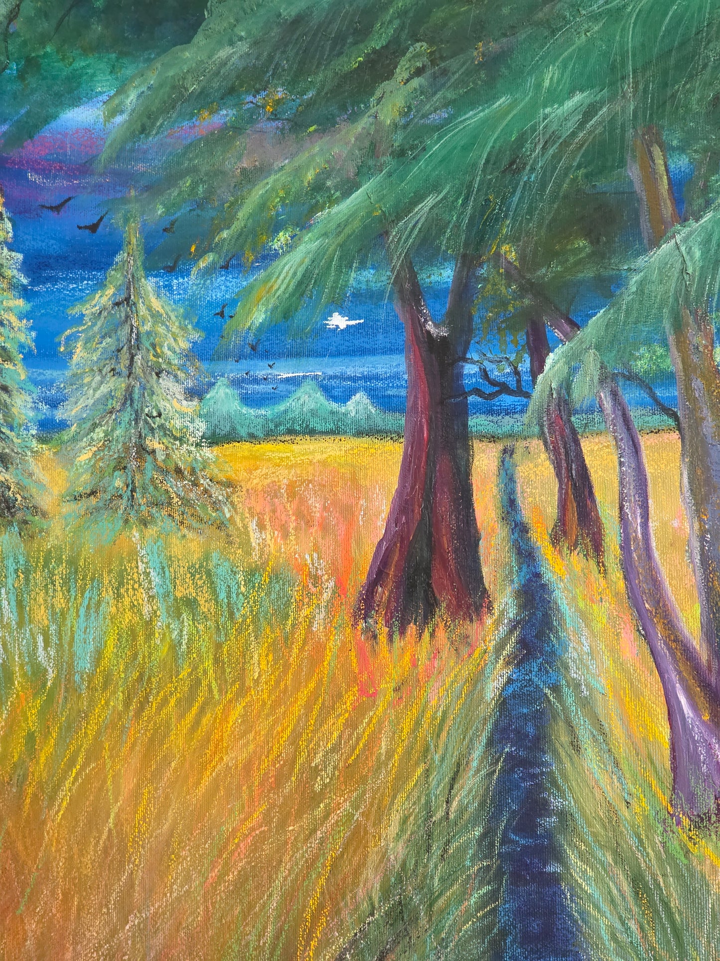 Pathway Through The Meadow