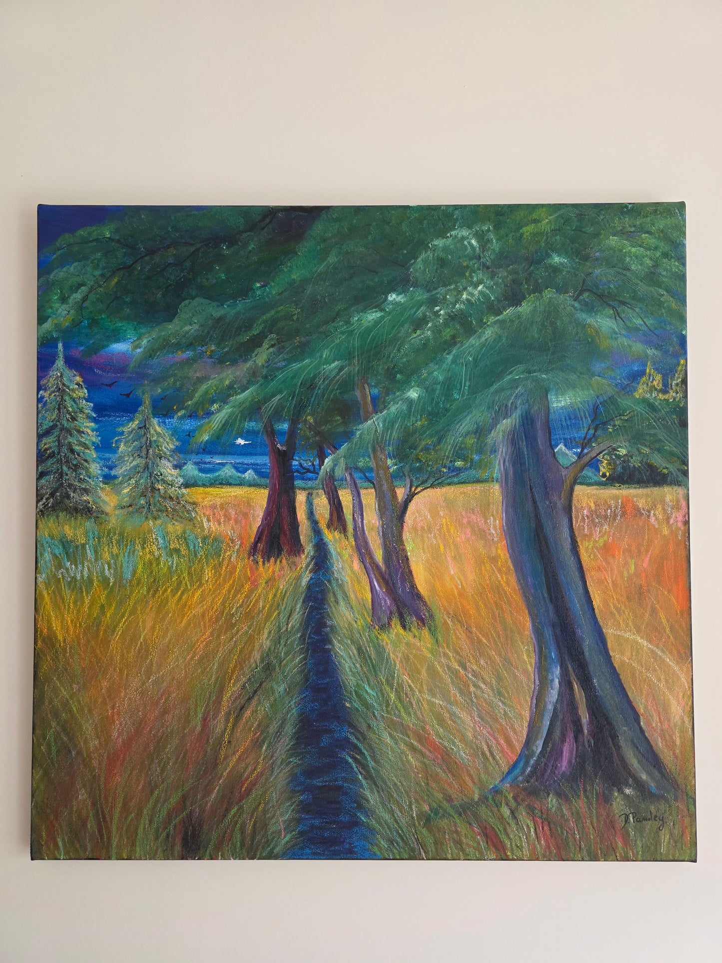 Pathway Through The Meadow