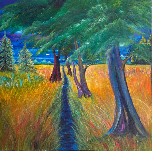Pathway Through The Meadow