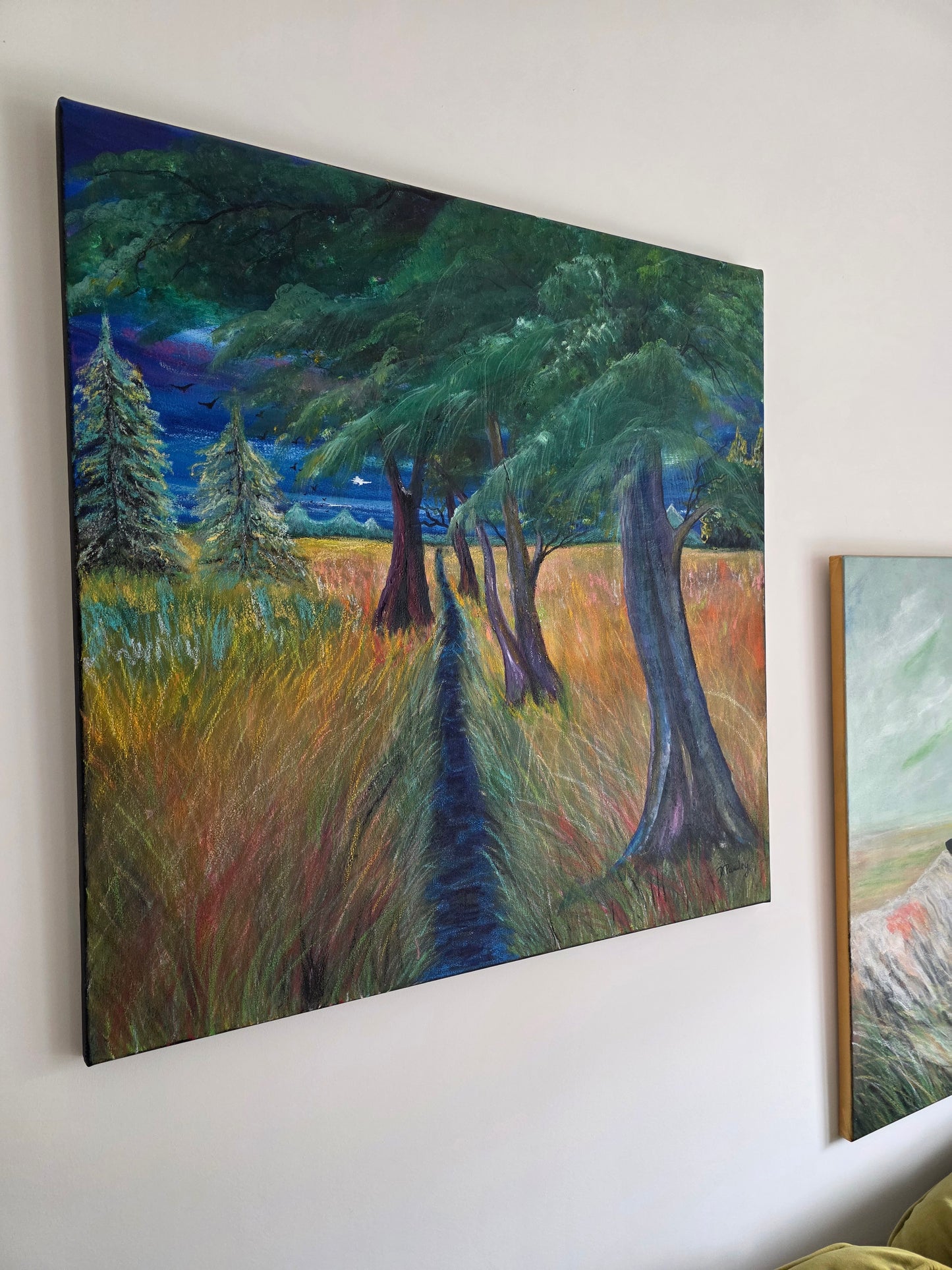 Pathway Through The Meadow